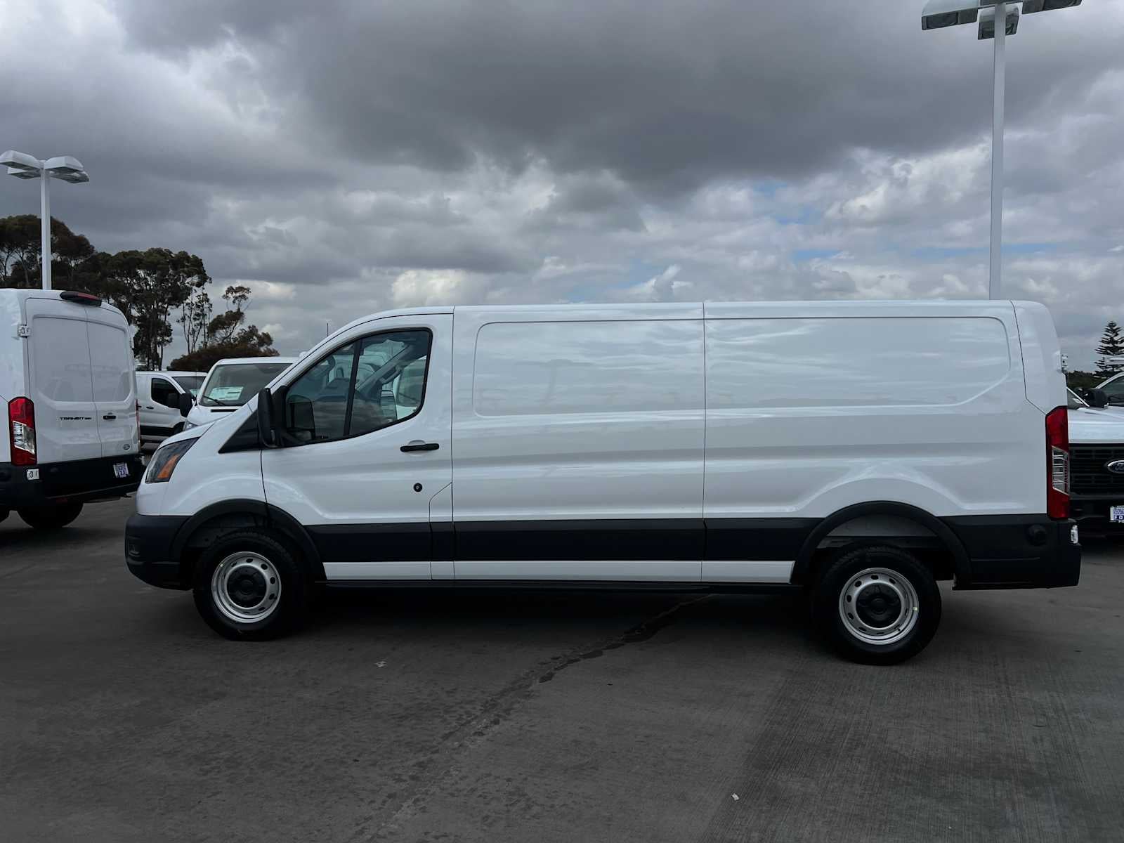 2025 Ford Transit Cargo Van