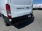 2026 Ford Transit Cargo Van
