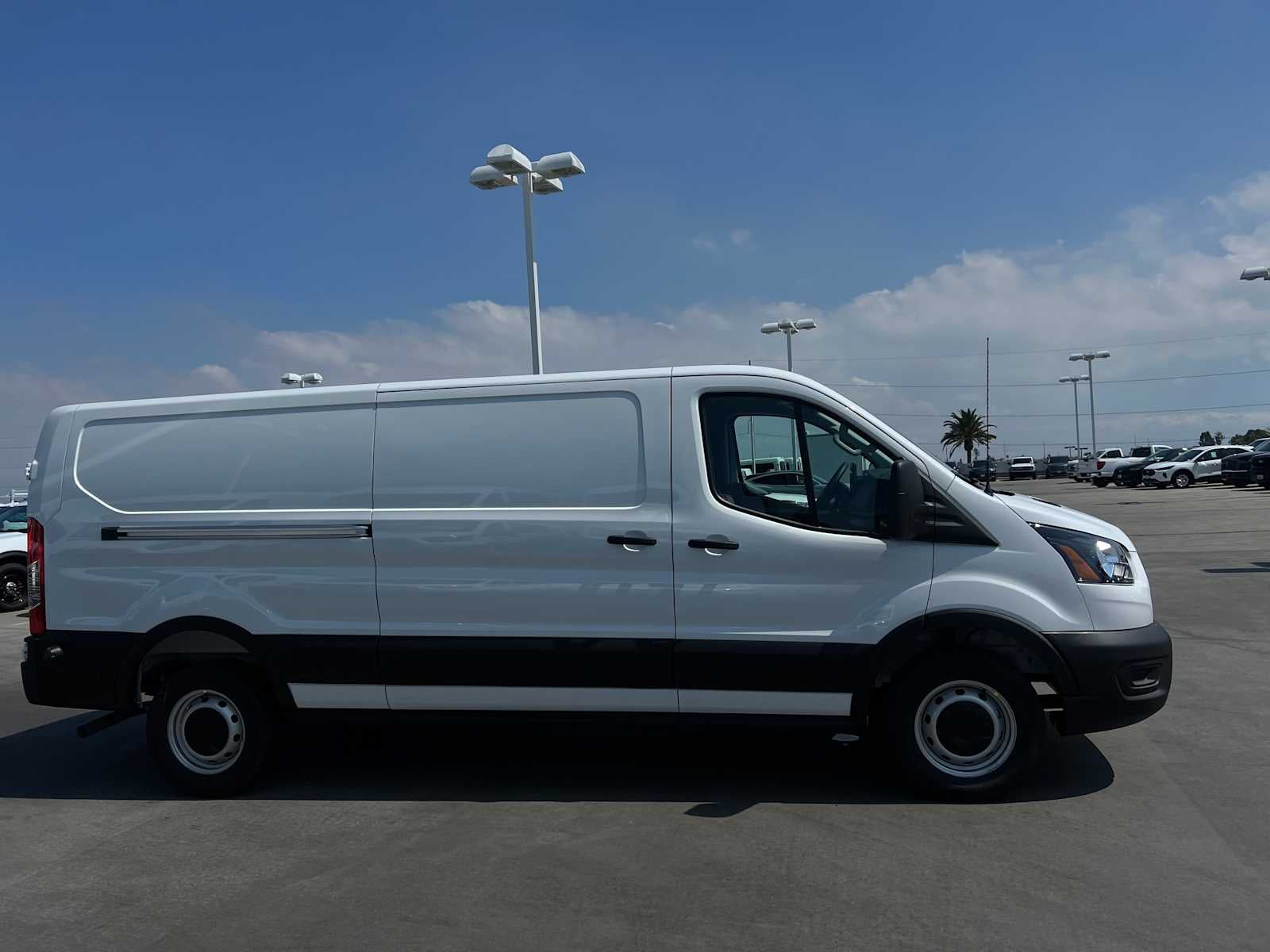 2025 Ford Transit Cargo Van