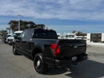2024 Ford F-150 Police Responder XL