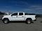 2023 Chevrolet Colorado 2WD Work Truck